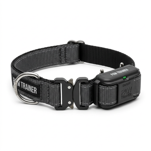 Dog training collar